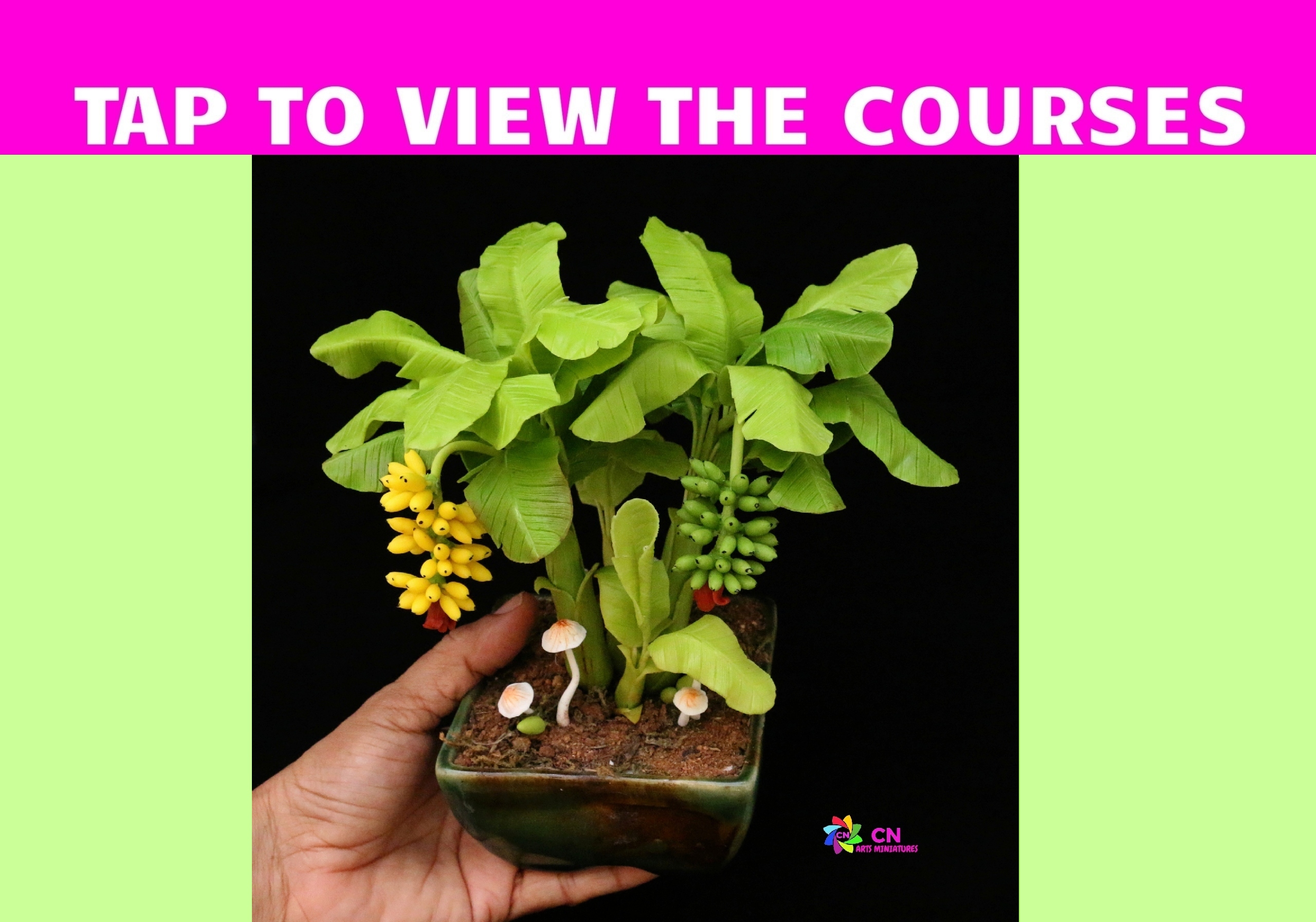 Clay Banana Bonsai Making {Live course + Recording with Lifetime access)}-English